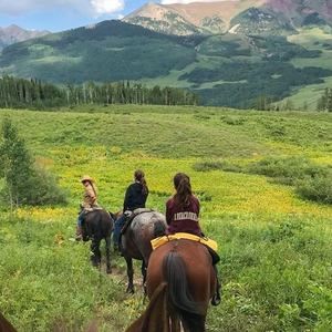 Meet your Posher, Bree